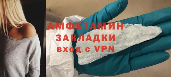 гашик Алексин