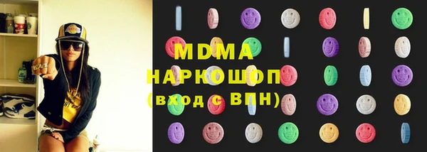 гашик Алексин