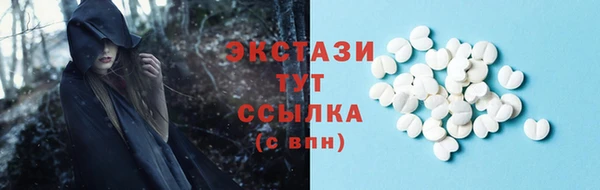 гашик Алексин