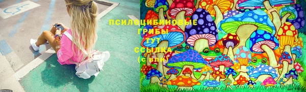 spice Алексеевка