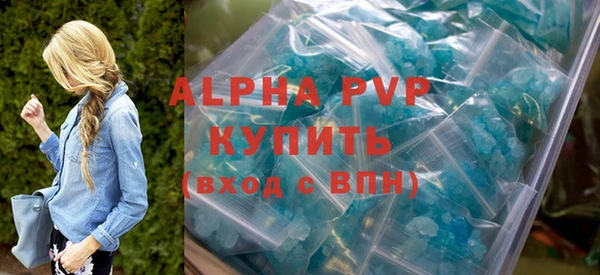 гашик Алексин
