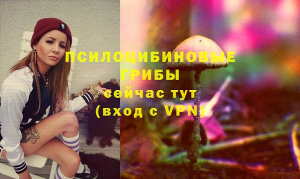 spice Алексеевка