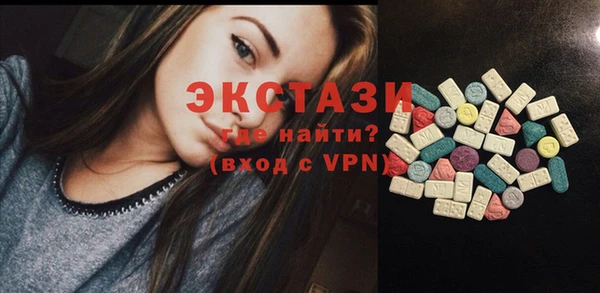 гашик Алексин