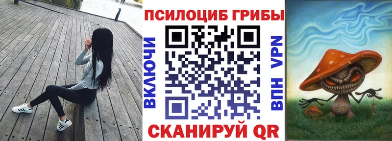 mega как войти  площадка состав  Галлюциногенные грибы прущие грибы  Новосиль 